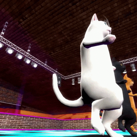 Scottnblackcat GIF