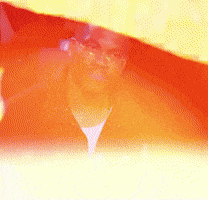 Michael Jordan Laugh GIF