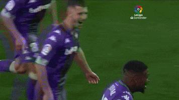 Celebrate Real Betis GIF by Real Betis Balompié