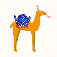 Bon Anniv Gifs Get The Best Gif On Giphy