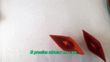 rosevalverde  GIF