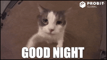 Good Night Love GIF by ProBit Global
