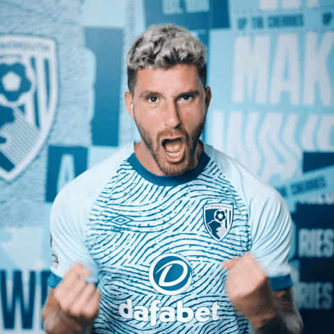 Happy Premier League GIF by AFC Bournemouth