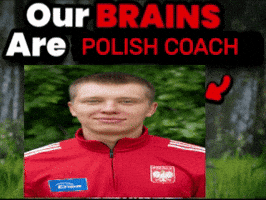 Poland Polish GIF