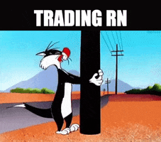 Looney Tunes Options Trading GIF by iTrendz Trading