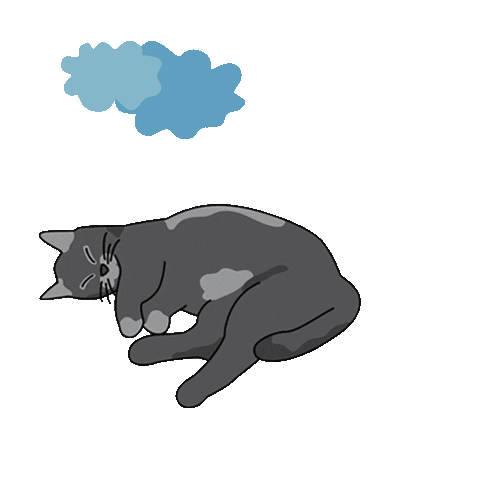 Cat Sticker