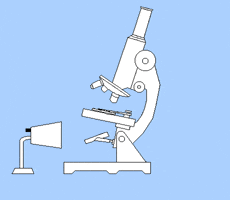 Microscope GIFs - Find & Share on GIPHY