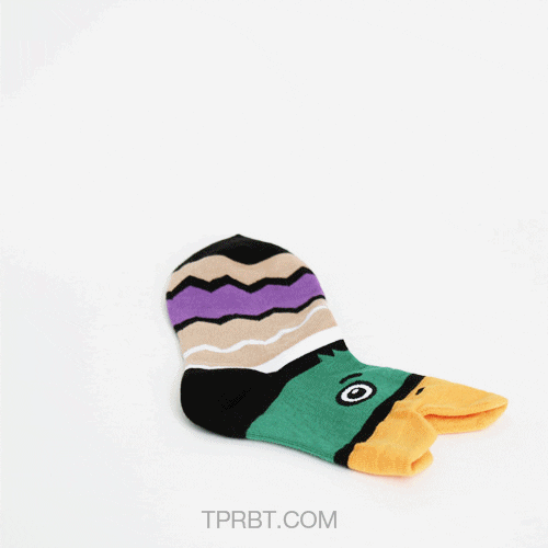 Duck Socks GIFs Get the best GIF on GIPHY