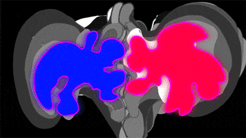 animation loop GIF by Miron