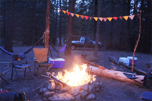 Camp Fire Summer GIF