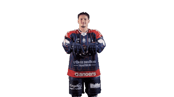 Herve Sticker by Les Ducs d'Angers