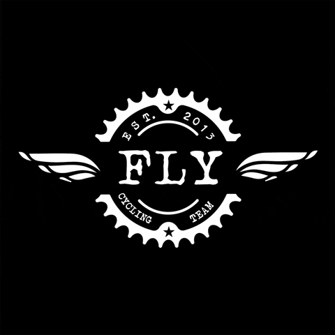flyteam  GIF