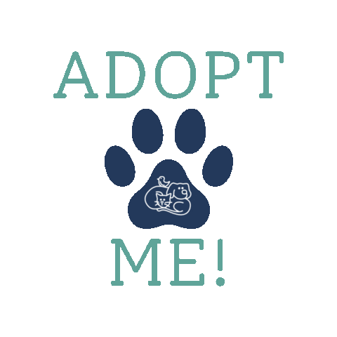 Young-Williams Animal Center Sticker