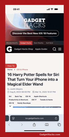 Animated GIF