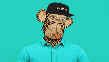 What The Omg GIF by Boring Merch