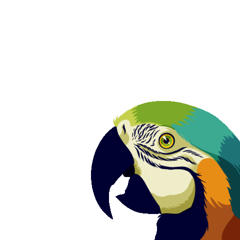 Arepas House Sticker
