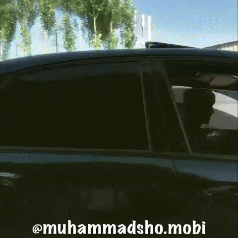 Didit GIF