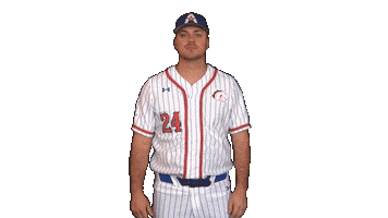 Uta Mavup Sticker by UT Arlington Baseball