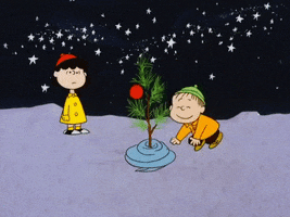 Charlie Brown GIF by Peanuts