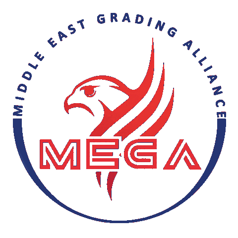 Megagrading Sticker by MEGA