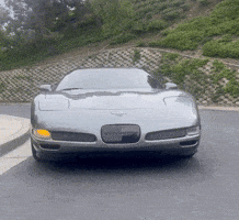 Wink Corvette GIF