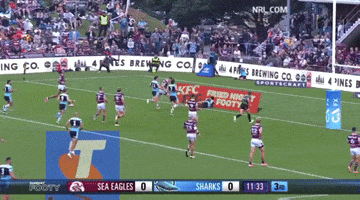 Nrl Sharks GIF