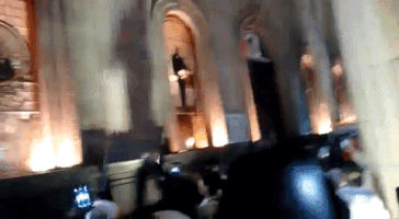 memorycuiz fail monterrey GIF