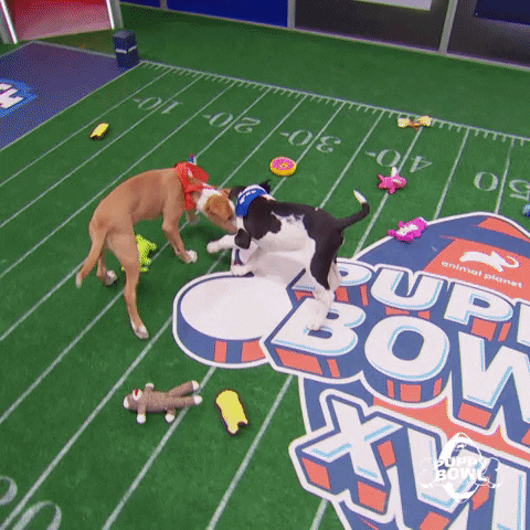 GIF by Puppy Bowl