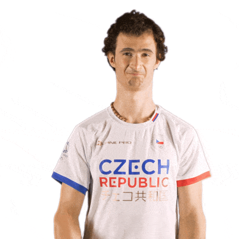 Czech meme gif
