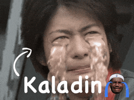Kaladin GIF