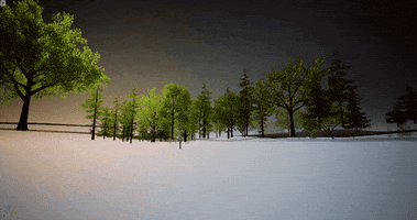 3D Trees GIF by erica shires