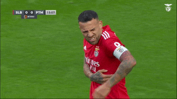 Sl Benfica Pain GIF by Sport Lisboa e Benfica