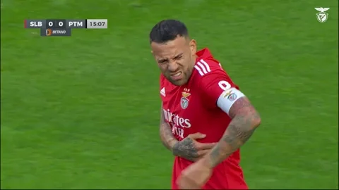 Sl Benfica Pain GIF
