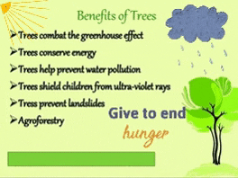 Food Give GIF by The Seed of Life Foundation