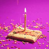 Happy Birthday GIF by Visionary Pet Foods