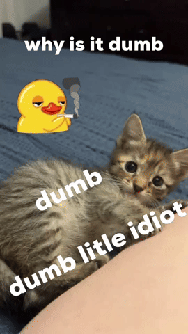 Kitty GIF