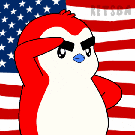 United States Usa GIF by Retsba