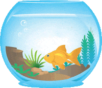 Goldfish-bowl GIFs - Get the best GIF on GIPHY Goldfish-bowl GIFs - Get the best GIF on GIPHY