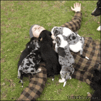 200.gif?cid=fc005b08d17f5073f66ecf744c5c1d9feb564c087917fbc9&rid=200.gif&ct=g