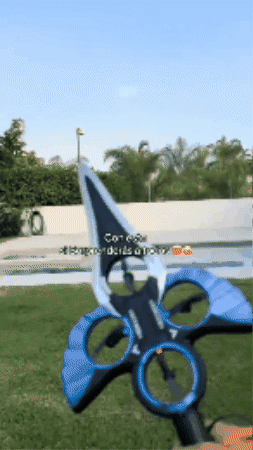 Animated GIF