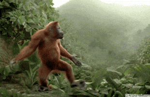 200.gif?cid=fc005b08d8c06b879bbf479d0392677b41e1367206f90f21&rid=200.gif&ct=g