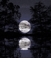 Moon Landscape GIF