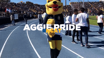 Homecoming Aggies GIF by N.C. A&T