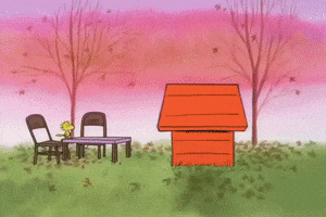 Cartoon gif. Snoopy carefully walks a covered platter to an outdoor table, then lifts the lid revealing a roasted turkey to an ecstatic Woodstock.