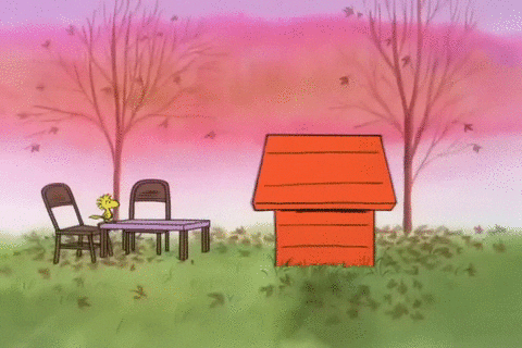 Charlie Brown Thanksgiving Gif