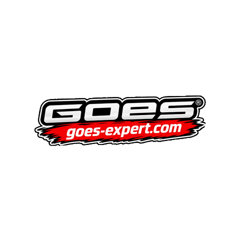 Expert Goes Sticker by Saloschnik