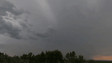 giphy.gif?cid=6c09b952df1c6188db98bb1fdc