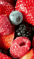 Heart Health Fruit GIF by Jennifer Accomando