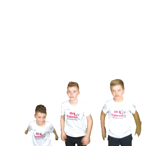 DropTalents Sticker