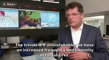 Climate Change Wildfires GIF by GIPHY News